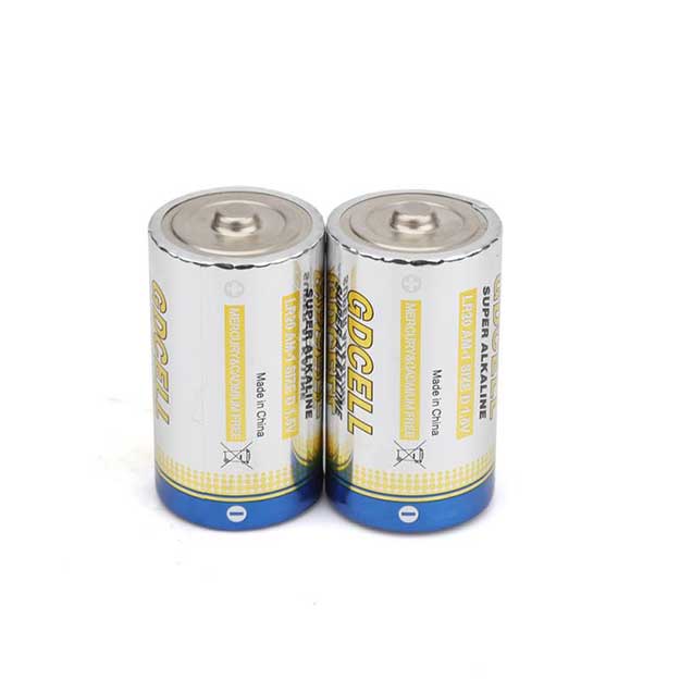 LR20 alkaline battery